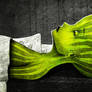 dead watermelon