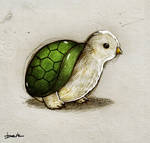 turtlebird