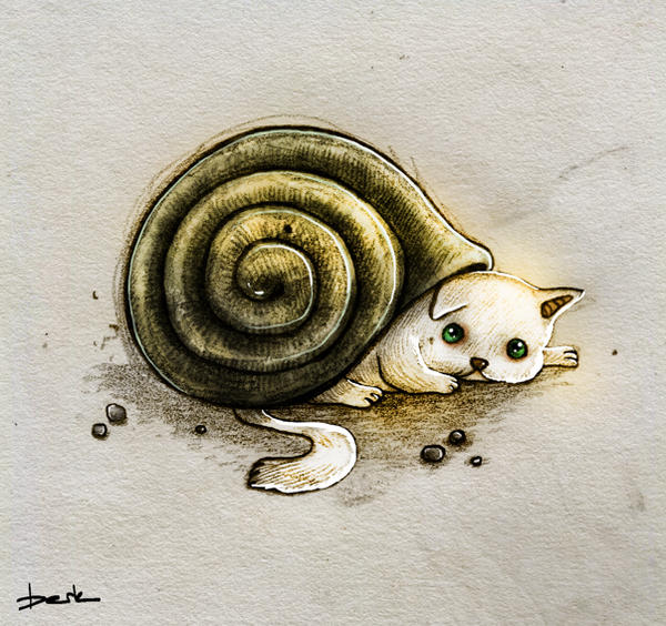 shell house by berkozturk on DeviantArt