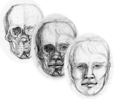 facial construction by kitschpainter on DeviantArt