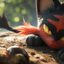 Pokemon Litten