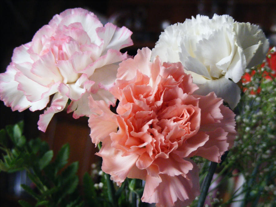Russian Three Roses Three Roses by JRann10 on DeviantArt