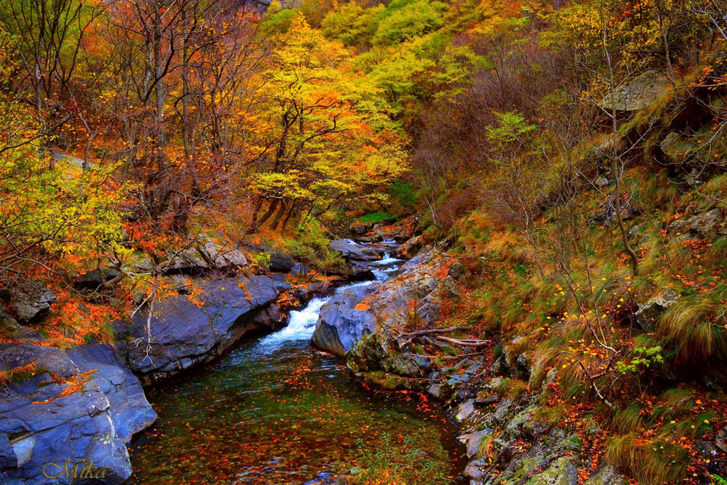 Stone fall. Осень лес ручей. Ручей осенью. Ручей в осеннем лесу. Осенний лес с ручьём.
