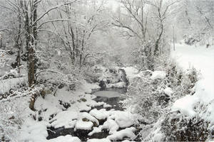 Snowy