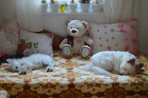 Lucky and Sunny :)