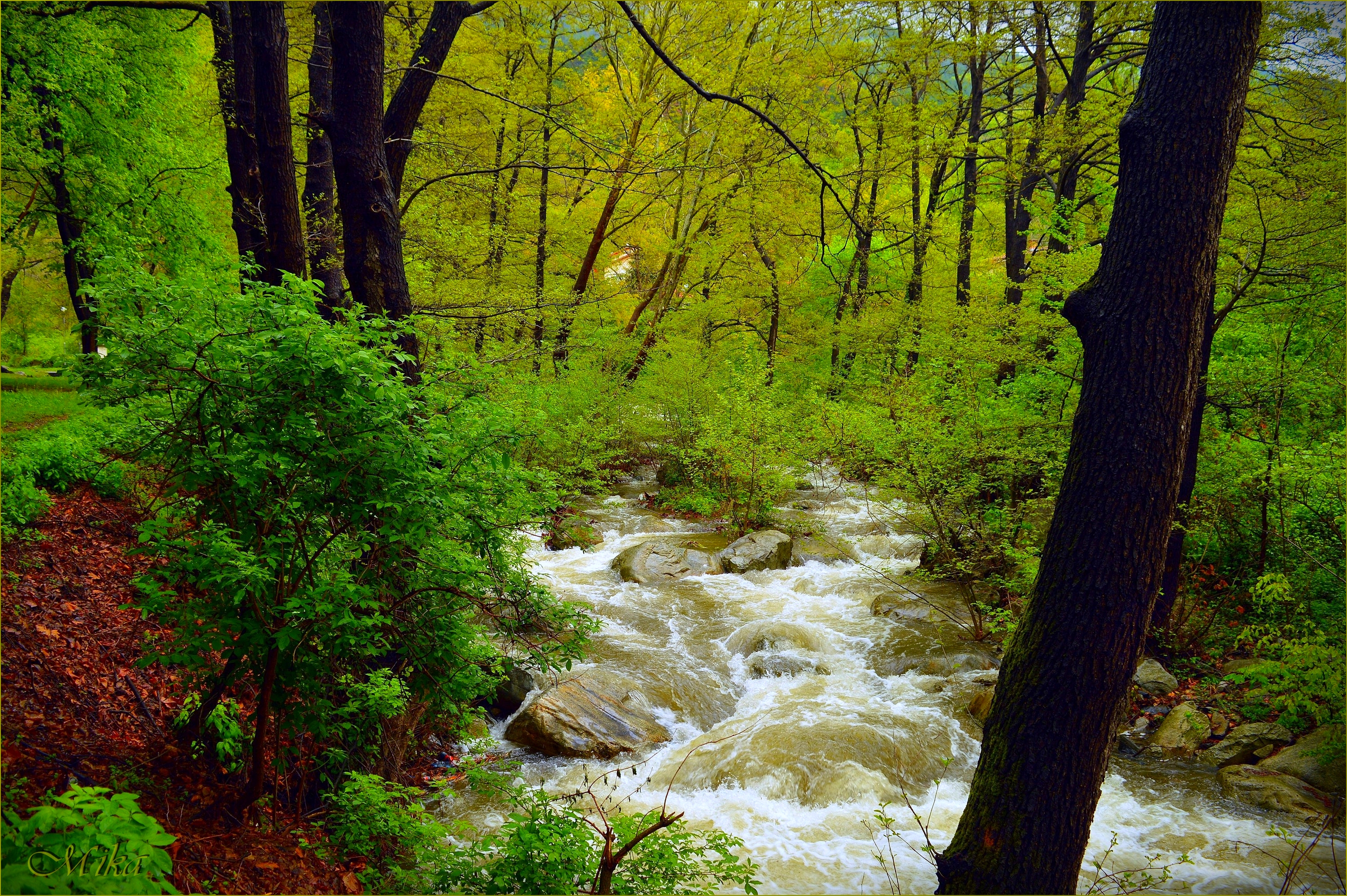 Cloudy green...