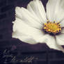 Daisy?