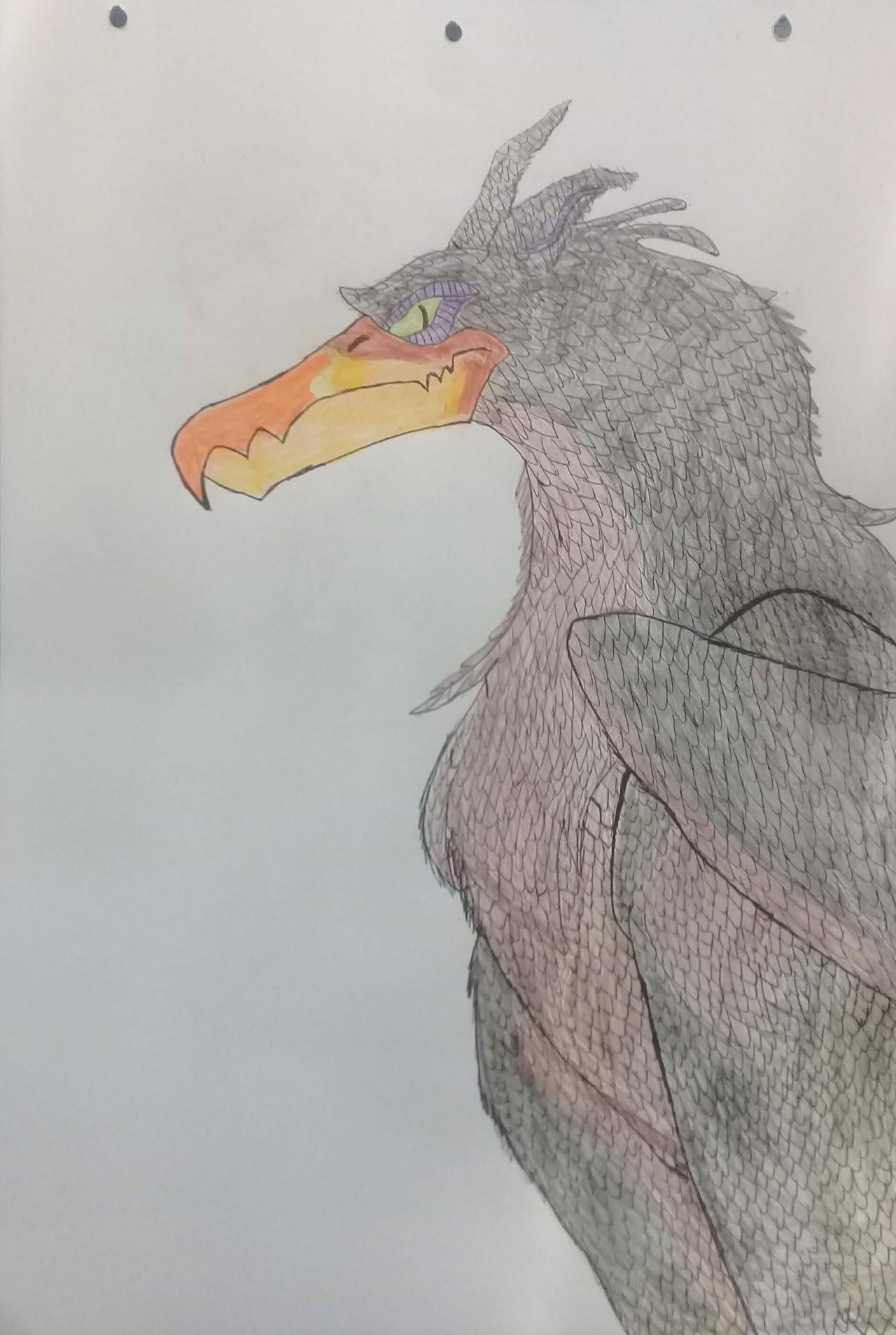 The Griffin by matuta2002 on DeviantArt