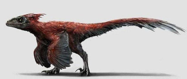 Pyro Raptor Outline Explore the Best Pyroraptors Art | DeviantArt