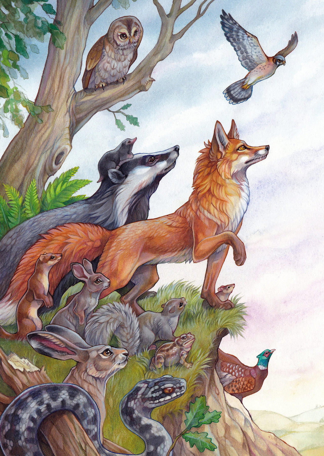 The Animals Of Farthing Wood By Matuta2002 On DeviantArt The animals of farthing wood by matuta2002 on deviantart