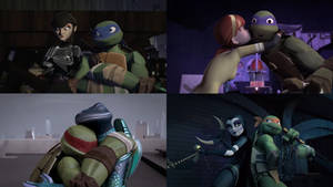 Turtles and their love interests