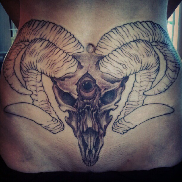 Ram Skull 1st sesh