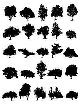 Tree Silhouettes