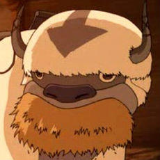 Appa Face by yowzafunk on DeviantArt
