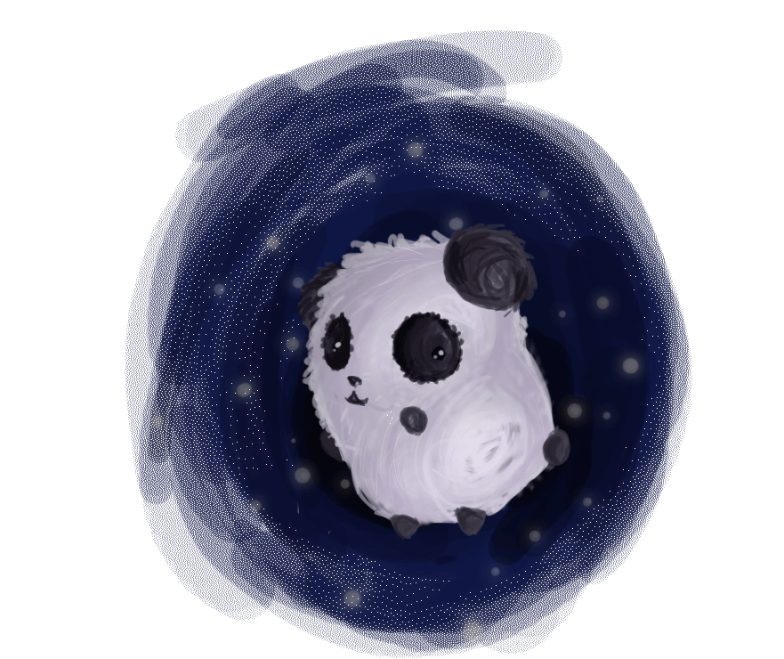 space bound panda