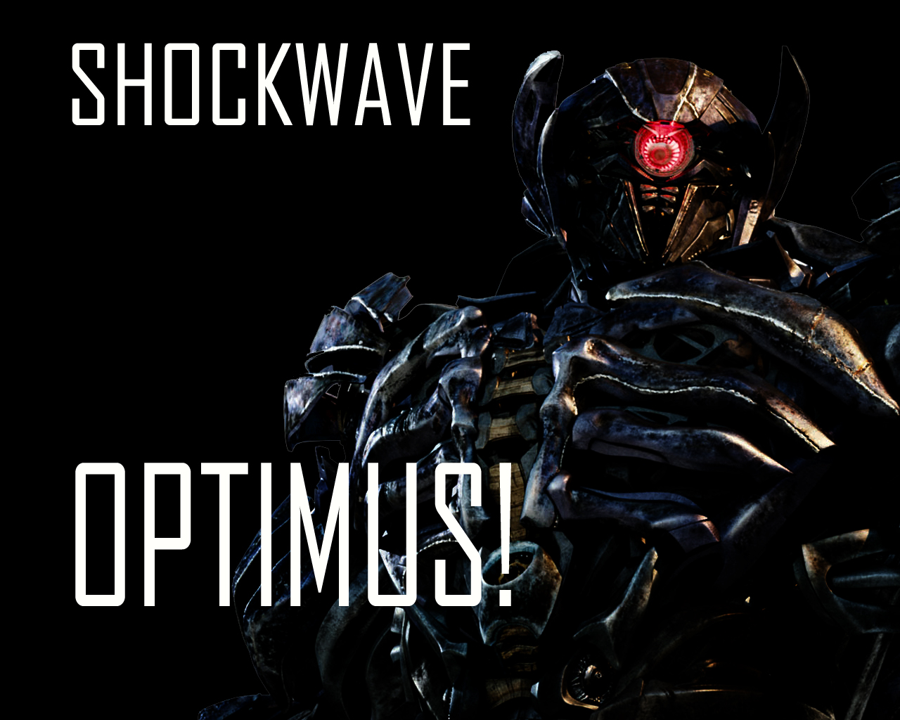 Shockwave Wallaper 2