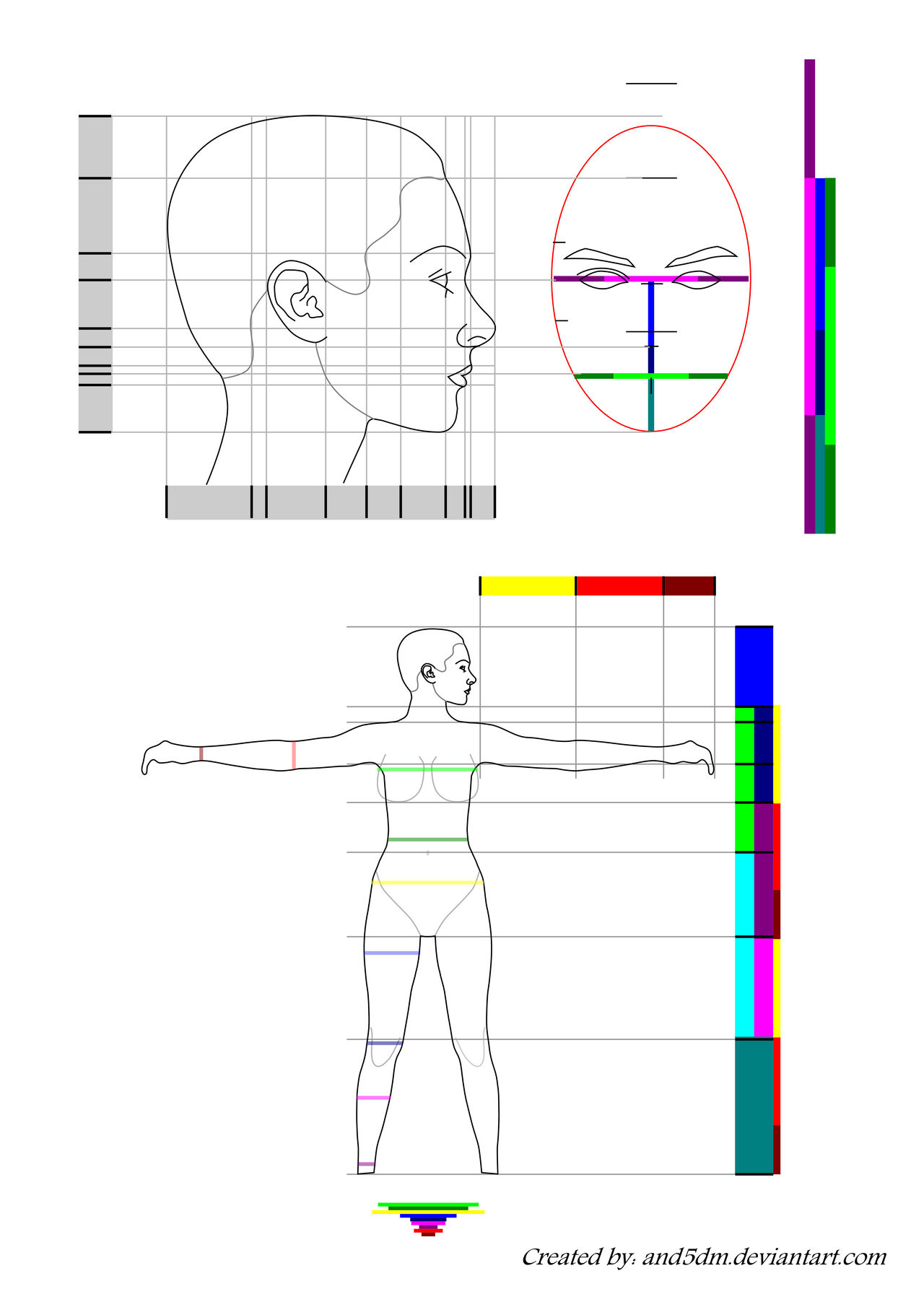 Human Perfect Stat Human Proportions Chart by and5dm on DeviantArt