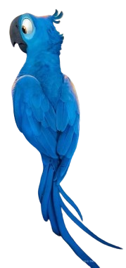 Blu Rio Render Deviantart Blu (Rio) by JulieGill1993 on DeviantArt