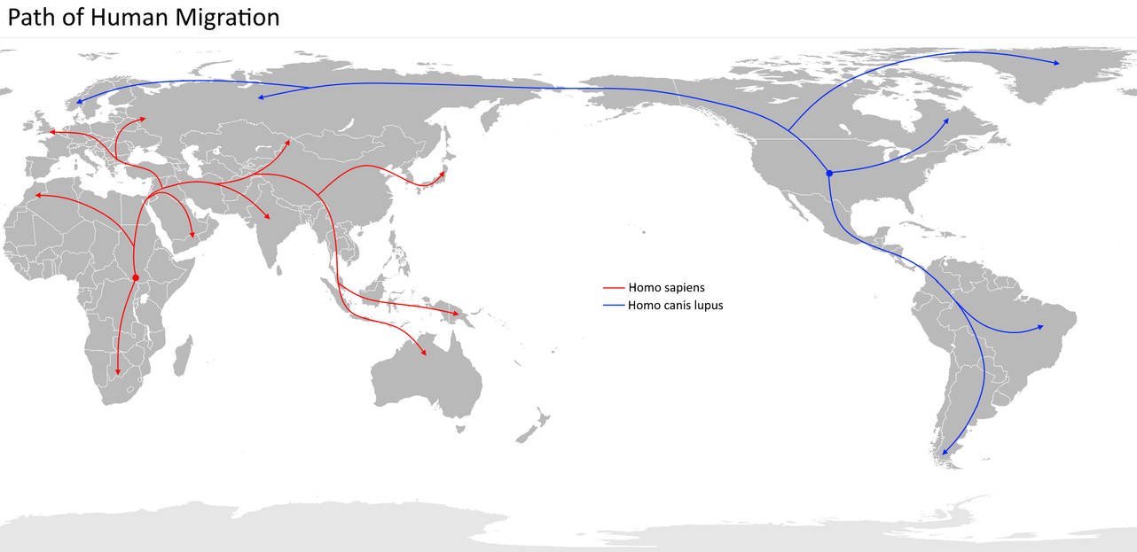 Path of Human Migration, but with human wolves by JulieGill1993 on ...