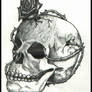 Skull and Rose