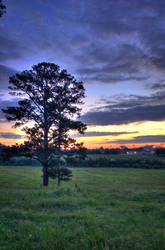 Auburn Sunrise - HDR 2