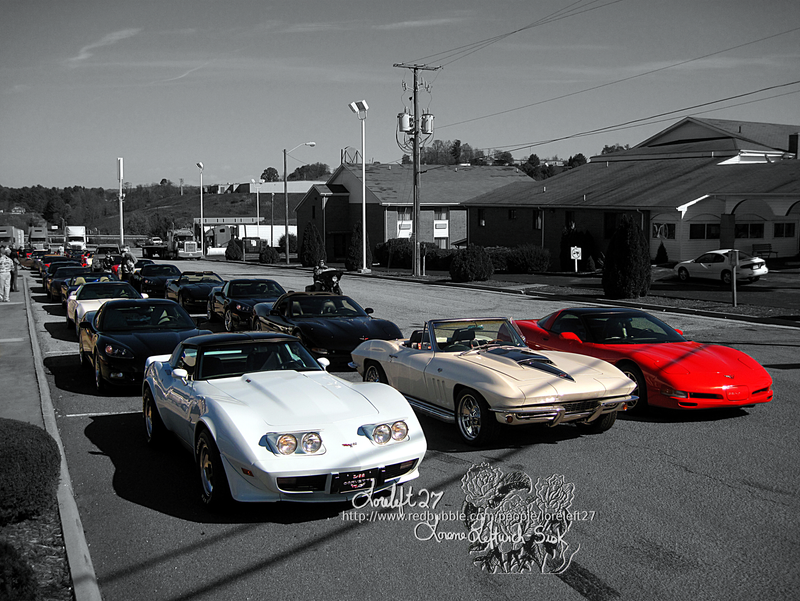 rows of vettes ll