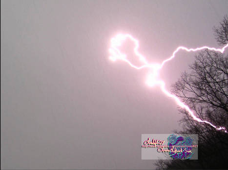 lightning in the woods