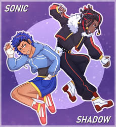 Sonic + Shadow