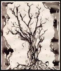 solum I, tree studies