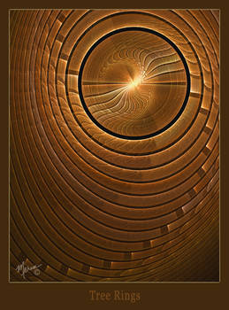 Tree Rings