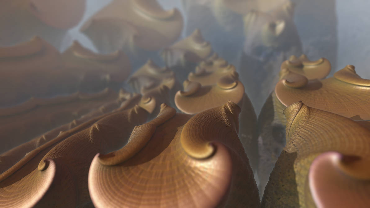 Shells by KrzysztofMarczak on DeviantArt