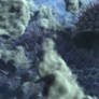 Viruses