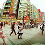 Japan From The Eye Of Fish 13
