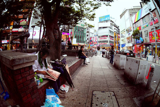 Japan From The Eye Of Fish 14