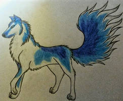 blue wolf