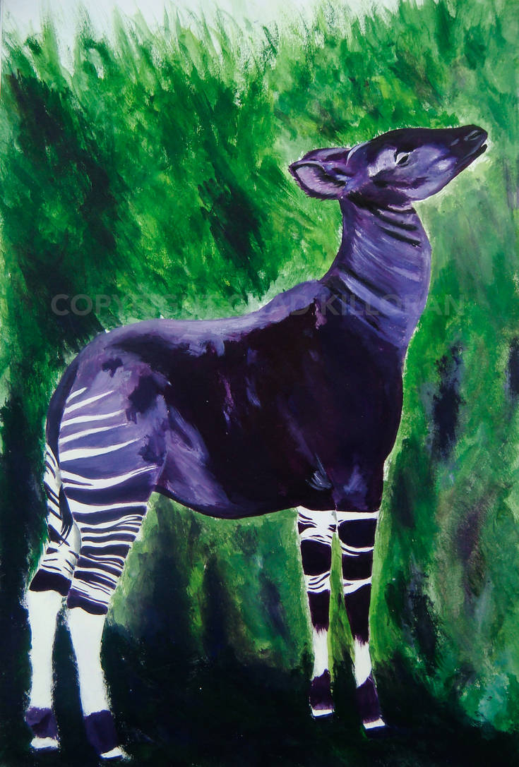 Okapi by ChadKilloran on DeviantArt