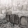 Old Jewish Cemetery