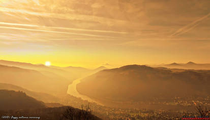 Foggy autumn morning