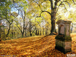 Autumn trip