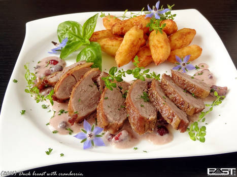 Duck breast with cranberries