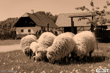 Village life by PaSt1978