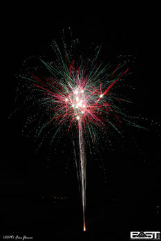 Fire flower