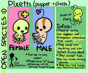 :Pixetts(OPEN SPECIES):