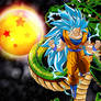 Goku SSGSSB3 Wallpaper