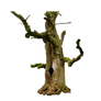 Old Tree PNG