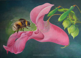 Dance of the Bumblebee