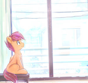 Scootaloo