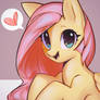 fluttershy