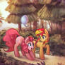 Memories We Share