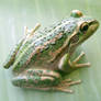 frog stock 191